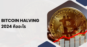 Bitcoin halving 2024 คืออะไร